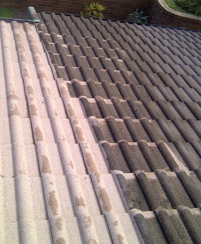 Nettoyage et demoussage de toiture à Antony (92160) dans les Hauts-de-Seine